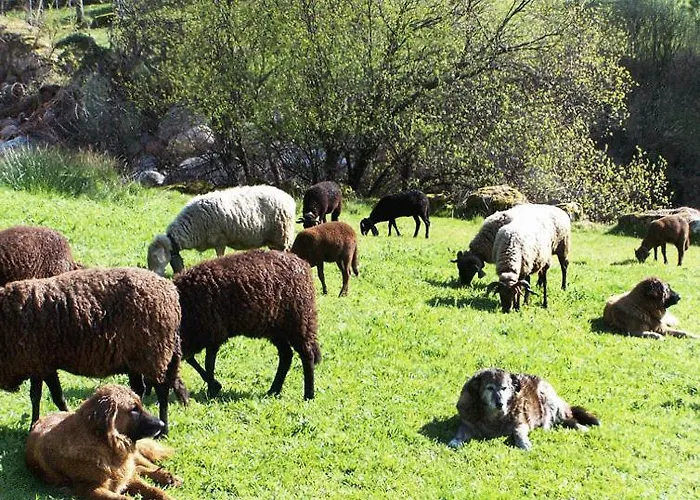 Casa Da Ribeira בית כפרי *